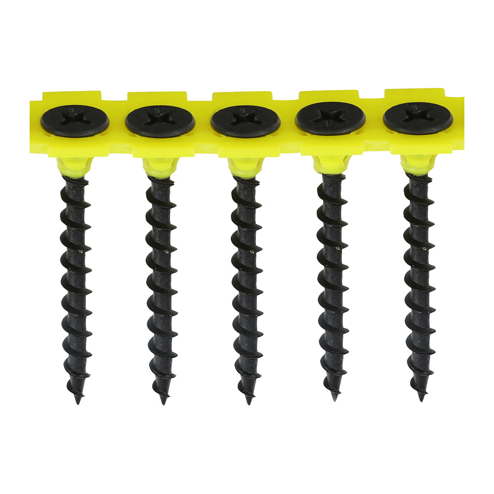 Coarse Thread Black Collated Drywall Screws PH