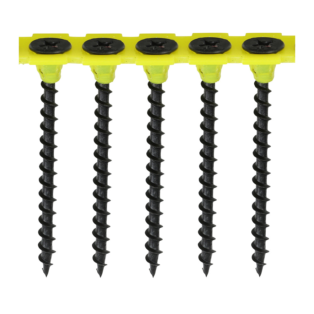 Coarse Thread Black Collated Drywall Screws PH