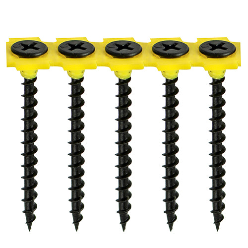Coarse Thread Black Collated Drywall Screws PH 1000 Pack