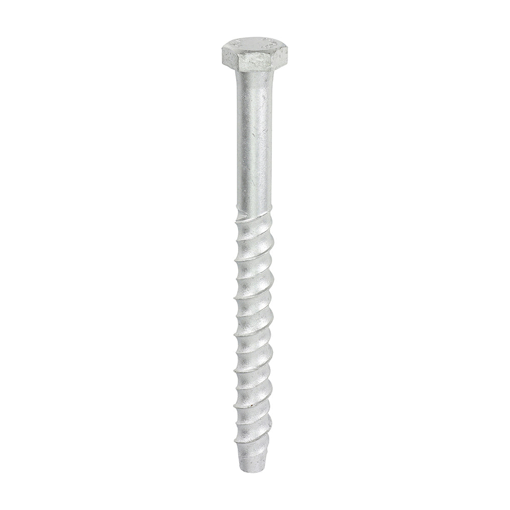 Multi-Fix Concrete Bolt Hex Head