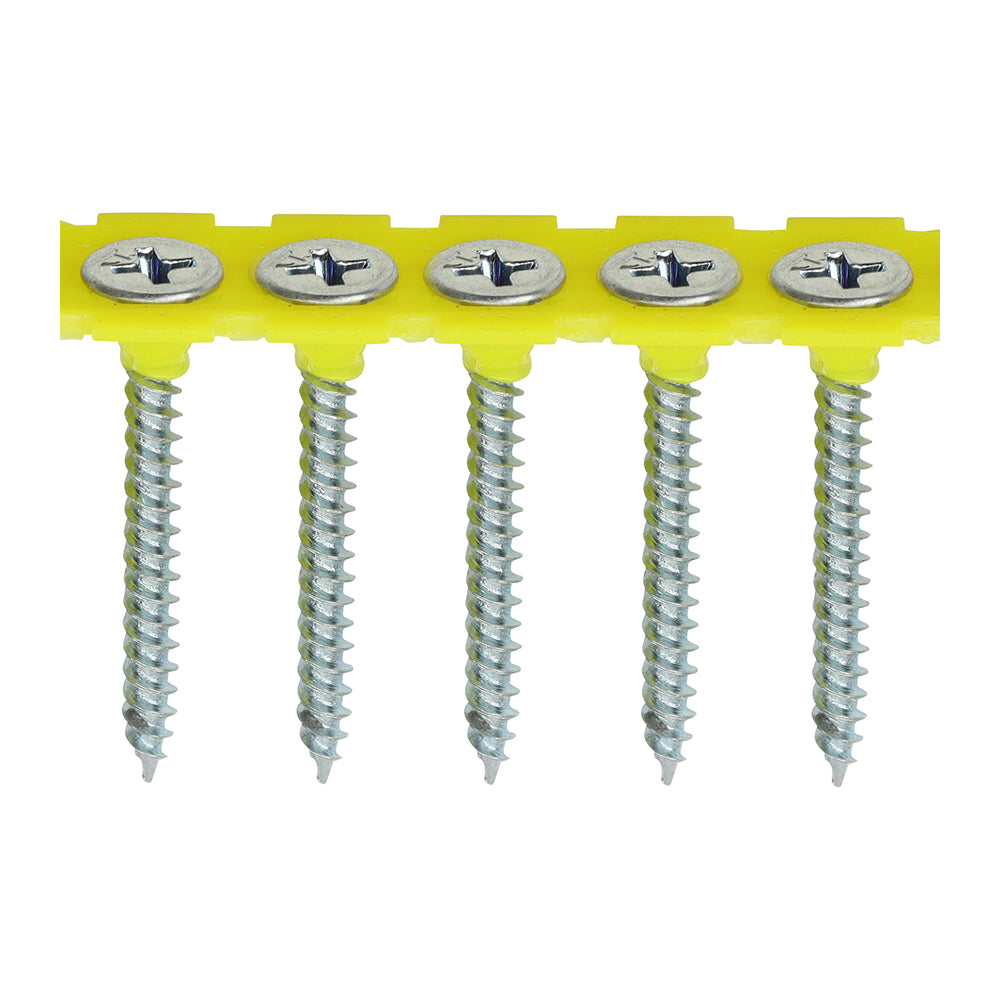 Fine Thread Zinc Collated Drywall Screws - PH - Bugle