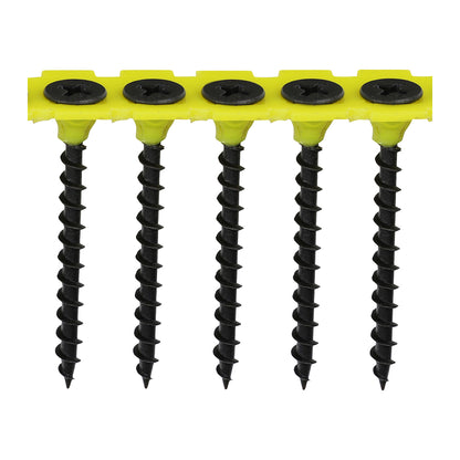 Coarse Thread Black Collated Drywall Screws PH - Bulk Tubs